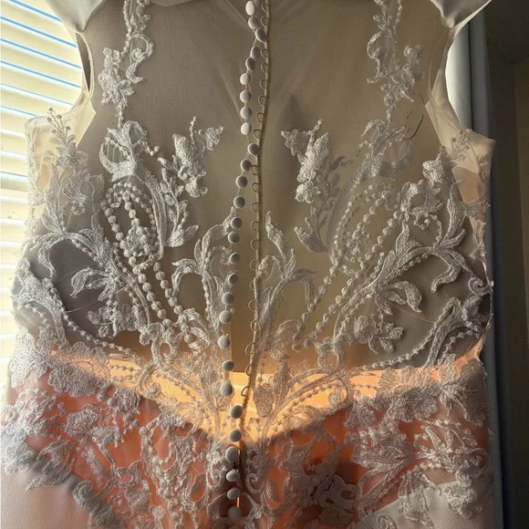 Pronovias Barcelona Cream Lace with Intricate Patterns - Picture 10 of 16